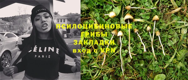 spice Медвежьегорск