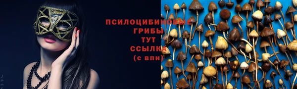 гашик Михайлов