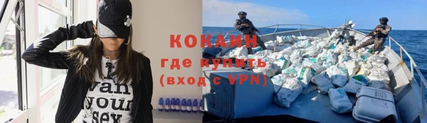 гашик Михайлов