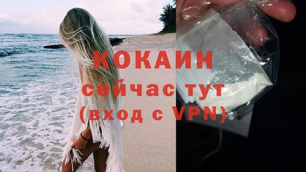 гашик Михайлов