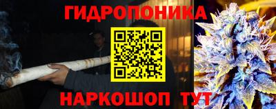 ГАЛЛЮЦИНОГЕННЫЕ ГРИБЫ Аргун