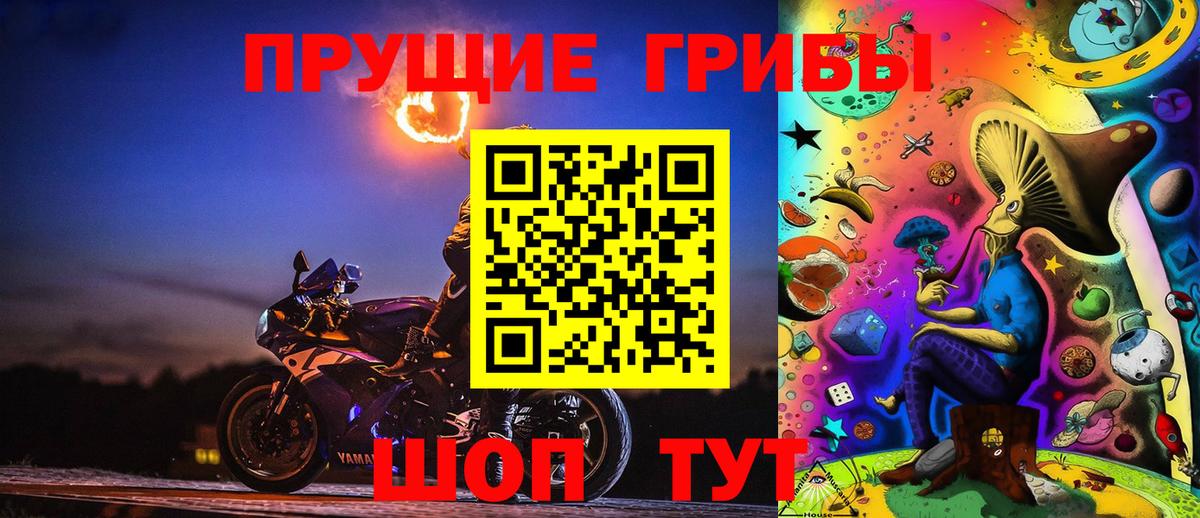 Галлюциногенные грибы Psilocybine cubensis  Полевской 