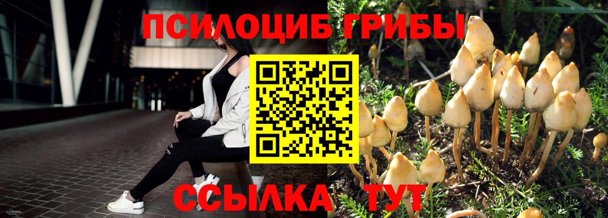 Галлюциногенные грибы Psilocybe  Галлюциногенные грибы мухоморы  Вход с VPN  Полевской 